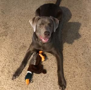 Meet your Posher, Cindy